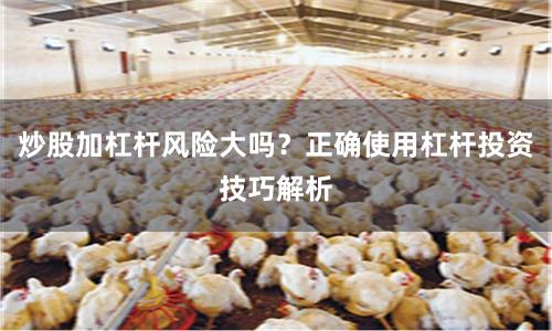 炒股加杠杆风险大吗？正确使用杠杆投资技巧解析